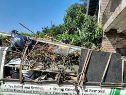 Best Appliance Removal  in St Michael, MN